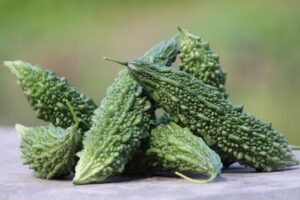 Read more about the article Natural Metformin Alternatives(Gluco Armor): 4 Science-Backed Compounds That Control Blood Sugar Without Side Effects