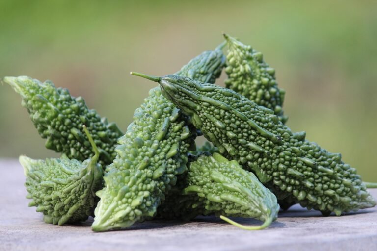 A picture of one of the ingredients called bitter melon